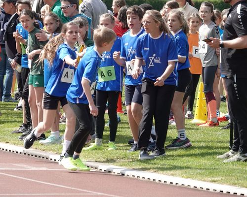 Teilnehmerrekord beim Hohenecker Kinderleichtathletik-Fest