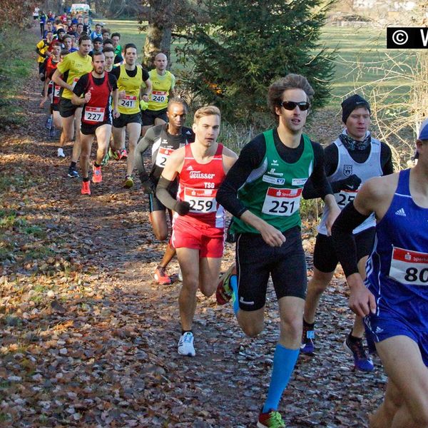 Baden-Württ. Waldlaufmeisterschaften am 17.11.2018 in Neuhengstett