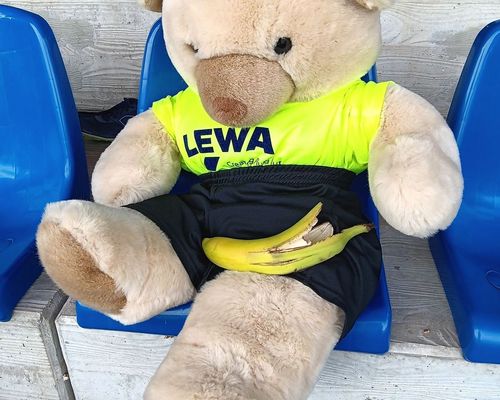 Tolle Leistungen beim Dreikampf im Freiberger Wasenstadion