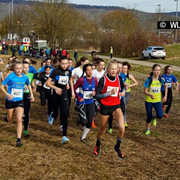 Baden-Württembergische Crosslauf-Meisterschaften am 15. Februar 2020 in Weinstadt