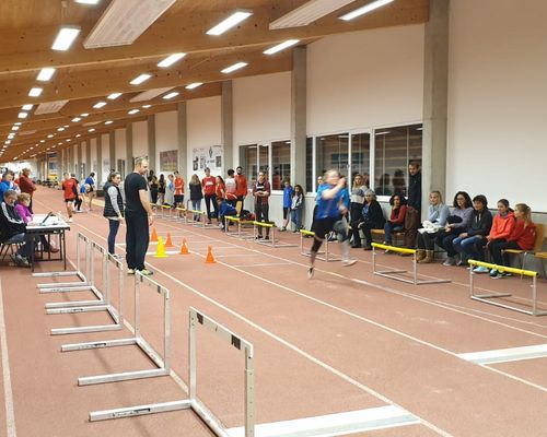 Teilnehmerrekord beim Mehrfach-Sprungcup in Stuttgart und Offenburg